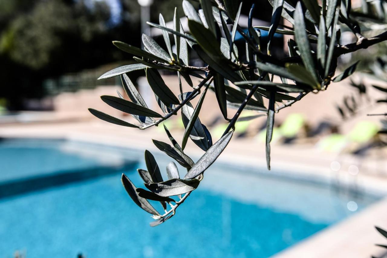 Les Arbousiers Village Hotel Provencal La Roquebrussanne Экстерьер фото